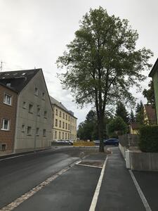 Bild vergrößern: Ausbau Richard-Wagner-Straße2